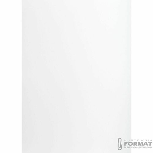 KARTON TOP A3 160G BIAŁY 2
