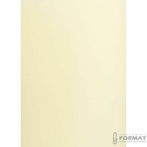KARTON TOP A3 160G KREMOWY 2