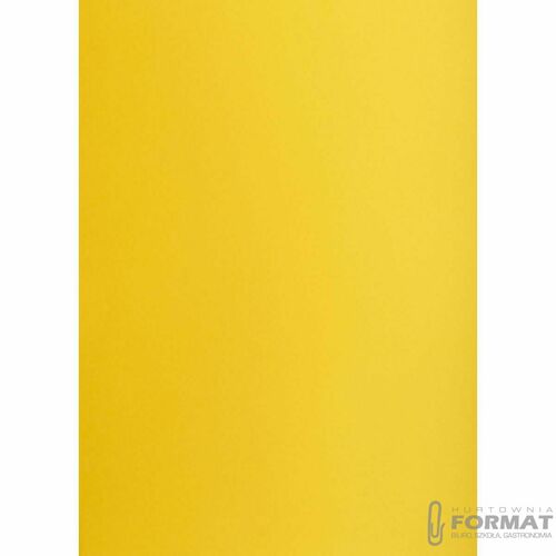 KARTON TOP A3 160G CIEMNOŻÓŁTY 2
