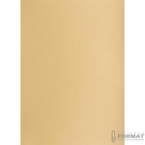 KARTON TOP A3 160G JASNOBRĄZOWY 2