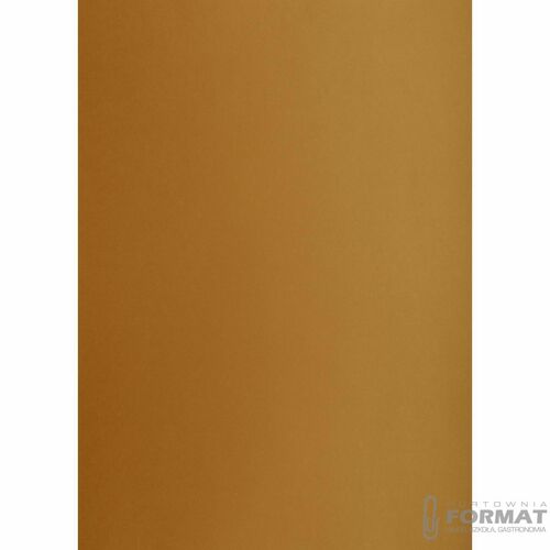 KARTON TOP A3 160G BRĄZ 2