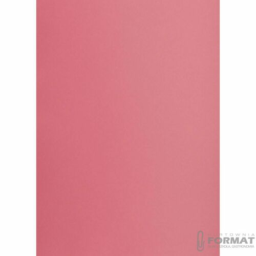 KARTON TOP A3 160G RÓŻOWY 2