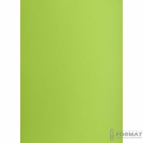 KARTON TOP A3 160G JASNOZIELONY 2