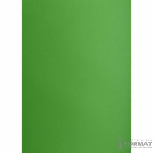 KARTON TOP A3 160G ZIELONY 2