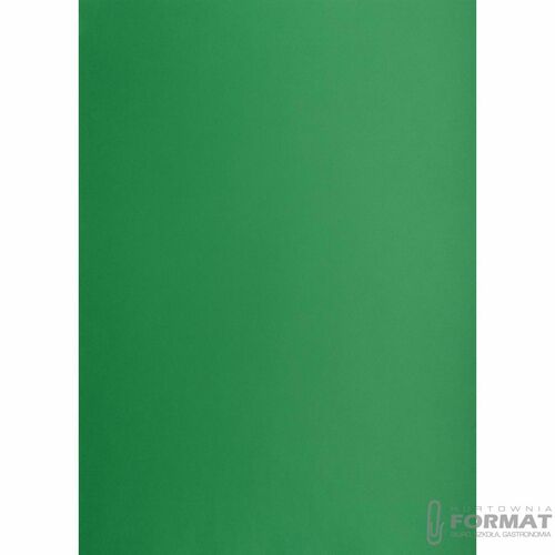 KARTON TOP A3 160G CIEMNOZIELONY 2