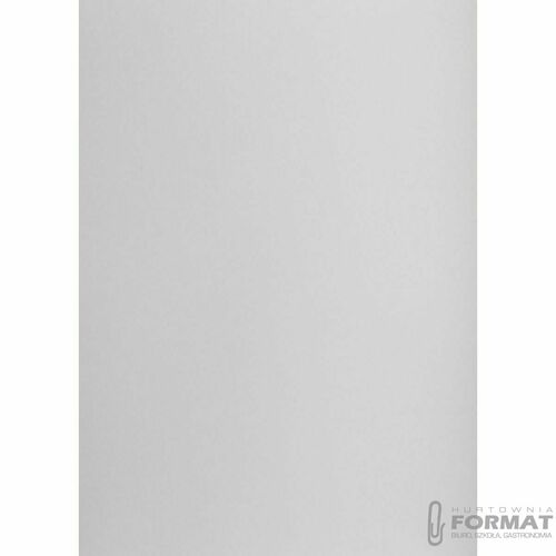 KARTON TOP A3 160G LILIOWY 2