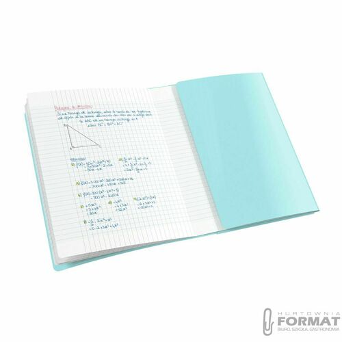 Zeszyt A4 60k w kratkę Oxford PP easybook pastel 13