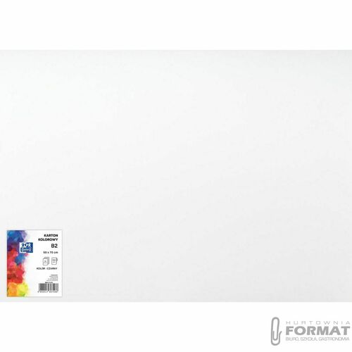 Brystol Creatinio biały B2 biały 300g 1k (400173615) 4
