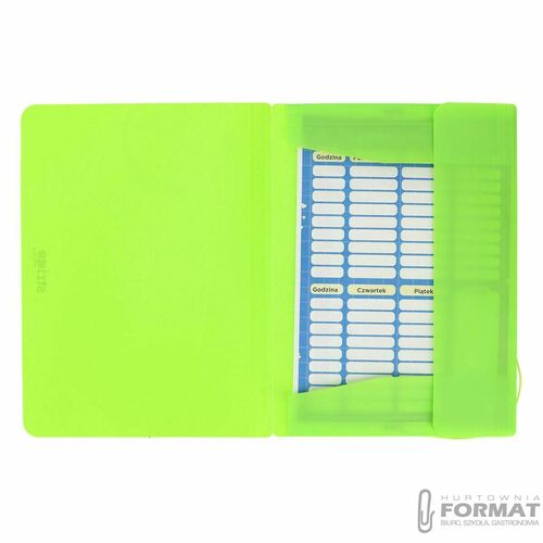Teczka plastikowa na gumkę z gumką Neon zielona A4 zielony Strigo (SF096) 5