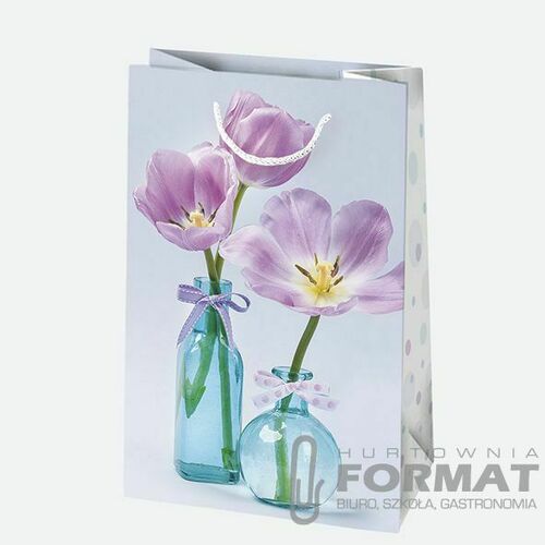 Torba prezentowa Pol-mak [mm:] 100x160x 60 4
