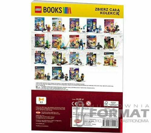 Książeczka edukacyjna Ameet LEGO® NINJAGO® Łowca smoków (KSS 1601) 4