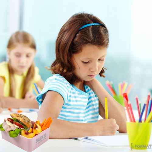 ŚNIADANIÓWKA LUNCHBOX WYJMOWANA PRZEGRODA 600ml RÓŻOWA EKO BEZ BPA 10
