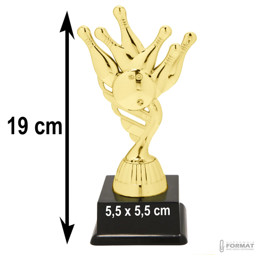 Puchar złoty trofeum nagroda statuetka kręgle 3d + GRAWER 19 cm 9