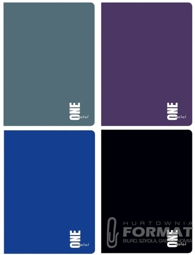 ZESZYT A5/32 Kratka One color 6