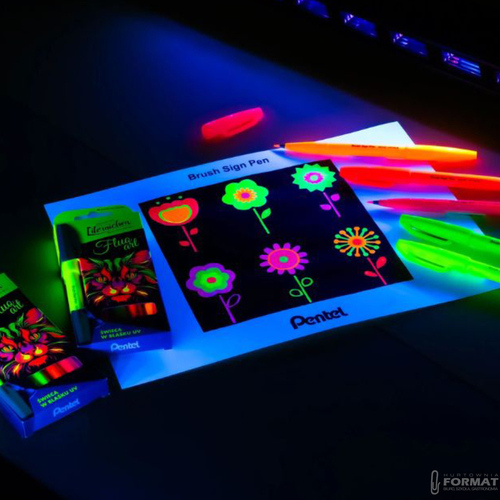 FLUORESCENCYJNE PISAKI PĘDZELKOWE DO KALIGRAFII LITERNICTWA 5SZT PENTEL 4