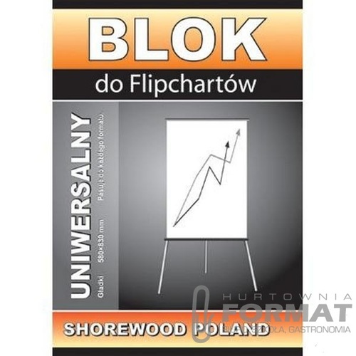BLOK DO FLIPCHARTU 65/100 50K GŁADKI 2