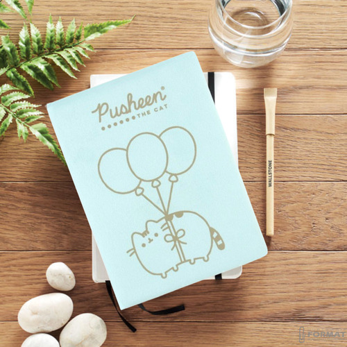 PAMIĘTNIK PLUSZOWY Z POMPONEM PUSHEEN THE CAT A5 MIĘCIUTKI NOTES MAJEWSKI 8