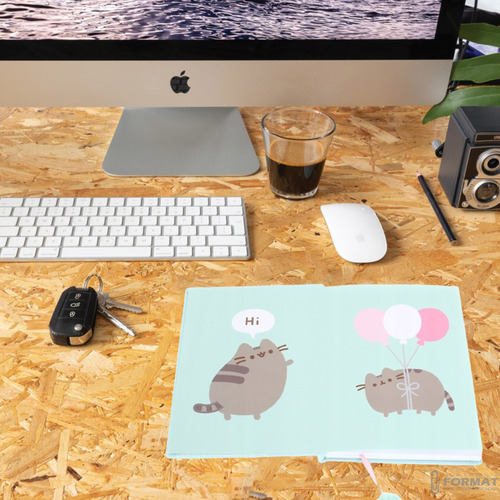 PAMIĘTNIK PLUSZOWY Z POMPONEM PUSHEEN THE CAT A5 MIĘCIUTKI NOTES MAJEWSKI 9