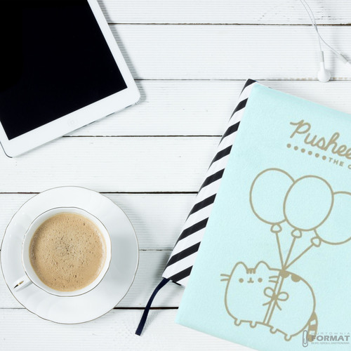 PAMIĘTNIK PLUSZOWY Z POMPONEM PUSHEEN THE CAT A5 MIĘCIUTKI NOTES MAJEWSKI 10