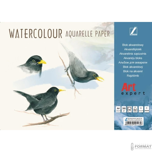 BLOK AKWARELOWY KRESKA ART EXPERT A4 10 KARTKOWY 300g/m2 2