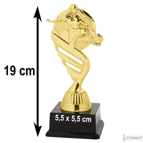 Puchar złoty trofeum nagroda statuetka piłka nożna figurka 3d + GRAWER 19 cm 6