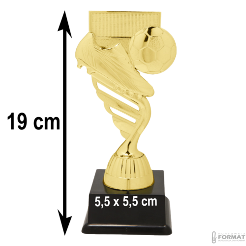 Puchar złoty trofeum nagroda statuetka piłka nożna figurka 3d + GRAWER 19 cm 6