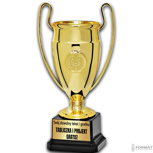 PUCHAR TROFEUM NAGRODA STATUETKA SOLIDNA 3D 14cm KOLOR ZŁOTY + GRAWER 2