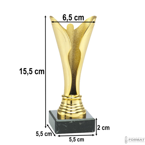 PUCHAR TROFEUM NAGRODA STATUETKA SOLIDNA 3D 15,5cm KOLOR ZŁOTY + GRAWER 8