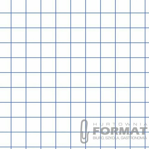 Blok notatnikowy Top 2000 A6 100 kartek 2