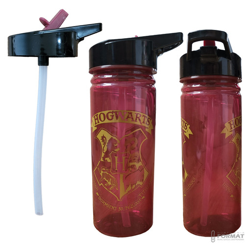 BIDON HARRY POTTER PP 600 ml HERBY HOGWARTU HP91553 2