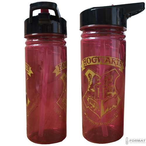 BIDON HARRY POTTER PP 600 ml HERBY HOGWARTU HP91553 4