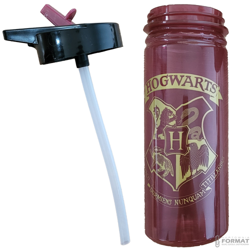 BIDON HARRY POTTER PP 600 ml HERBY HOGWARTU HP91553 5