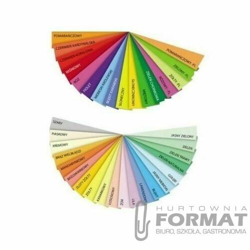 Papier kolorowy Trophee A4 różowy 80g [mm:] 210x297 (xca42973) 2