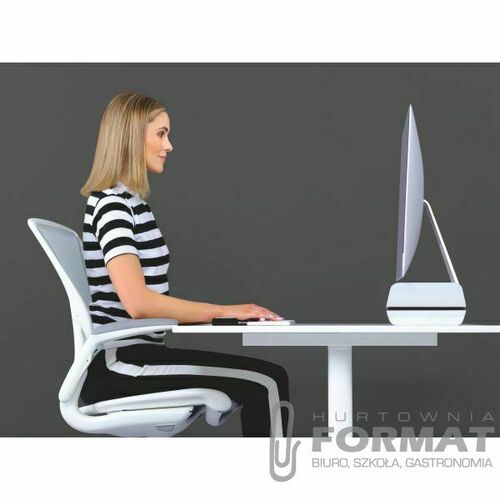 Podstawka Leitz WOW (65040095) 2