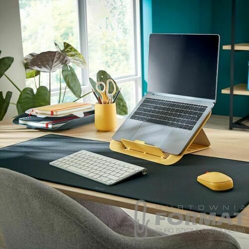 Mysz Leitz Cosy szary (65310089) 11