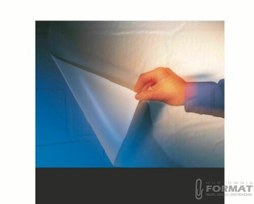 Prezenter Leitz EasyFlip (70000000) 3