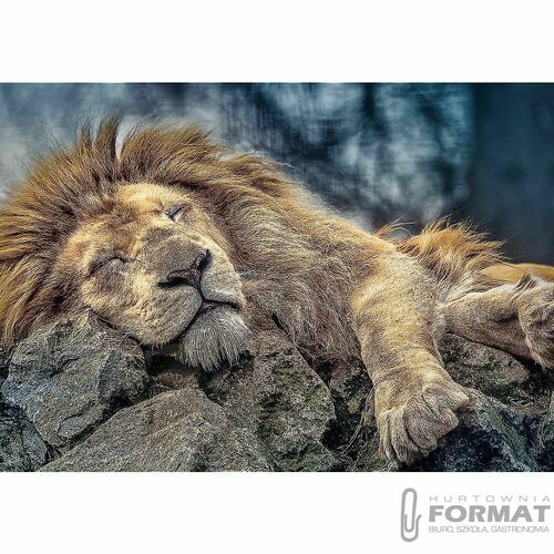 Puzzle 1000el Śpiący lew 10447 Trefl 2