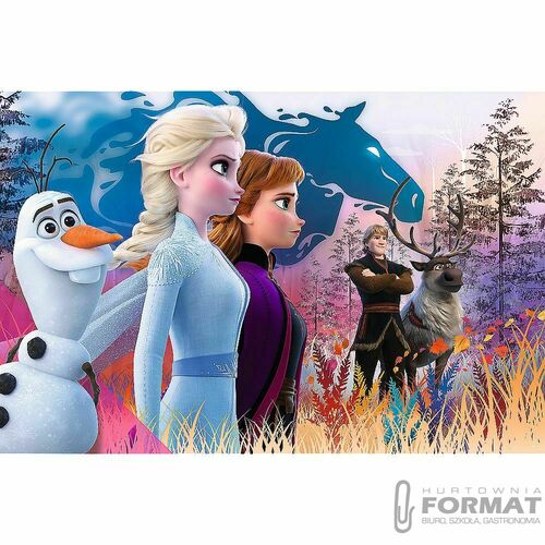 Puzzle 24-Maxi Magiczna wyprawa Disney Frozen 2 14 2