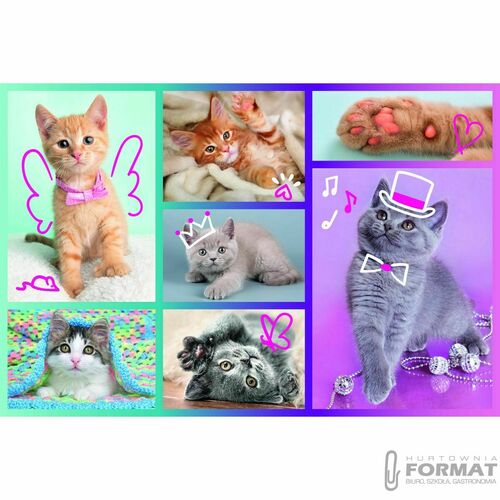 Puzzle 60el Słodkie kociaki Trefl 17373 2