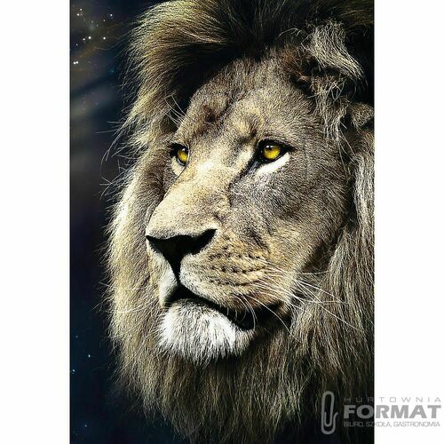 Puzzle 1500el Portret lwa TREFL 26139 2
