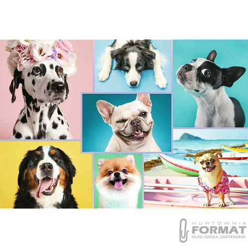 Puzzle Trefl 1500 el. (26186) 2