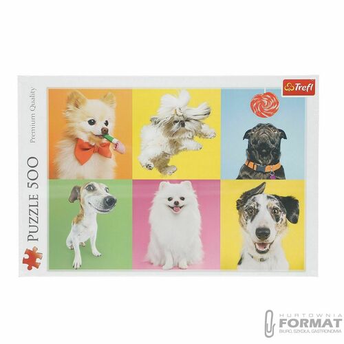 PUZZLE 500EL PSY 3
