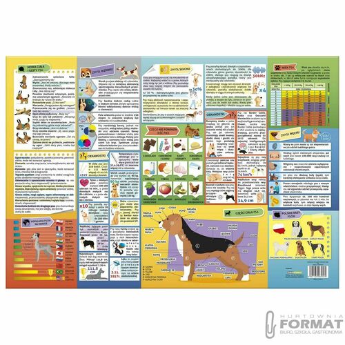 PODKŁAD OKLEJANY EDUKACYJNY PSY 2