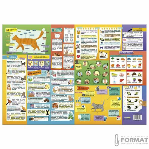 Podkład oklejany edukacyjny Koty DERFORM 2