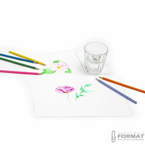 Derform Kidea Kredki akwarelowe w pudełku 24 kolor 8