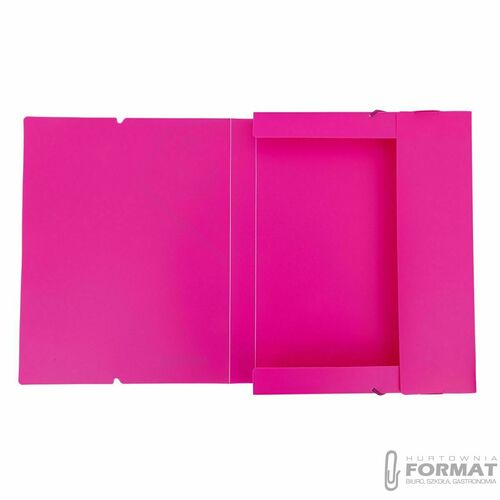 Teczka plastikowa na gumkę PP NEON LINE A4 mix Astrapap (113024006) 9