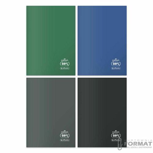 Zeszyt A4 60 kartek w kratkę ECO PP, Ocean Colors 5