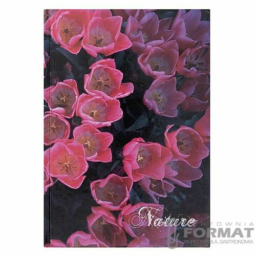 Brulion OFFICE PRODUCTS Nature A5/96k w kratkę 3
