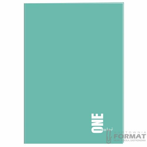 ZESZYT A4/80 kratka ONE COLOR 2