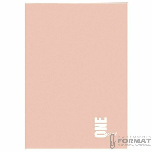 ZESZYT A4/96 kratka ONE COLOR 2